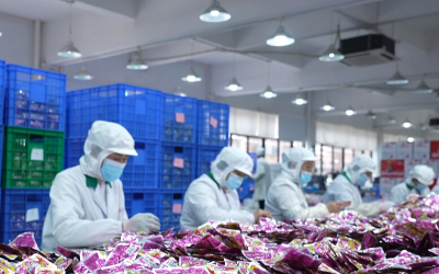 舜華鴨業(yè)：產(chǎn)銷(xiāo)兩旺 力拼“開(kāi)門(mén)紅”